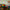 files/BelizeLeopard_SoftTealonTheCatthatLickedtheCream.webp
