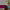 files/EnchantedKingdom_Pink_LH900654_2000_Room.webp