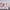 files/LH__0000s_0004_Signature_Stripe_Harmony_Elderflower_Green_LH900708_HIGH_RES_Close.webp