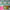 files/Serving_up_Tropical_Delight_Tropical_Turquoise_LH900603_-_Bedroom_WEB_Close_up.webp
